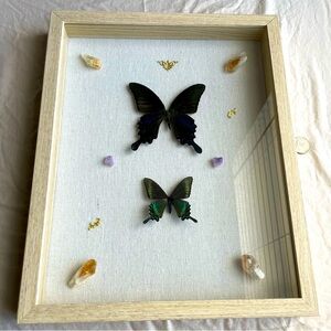 Framed Butterfly Display with Crystals